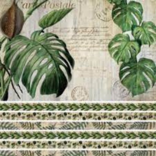 Imagen de Lamina para decoupage EQ Arte de 30*30cms. linea botanica 15-1501 EQ