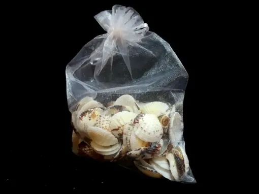 caracoles bolsa organza tipo concha 300grs 0