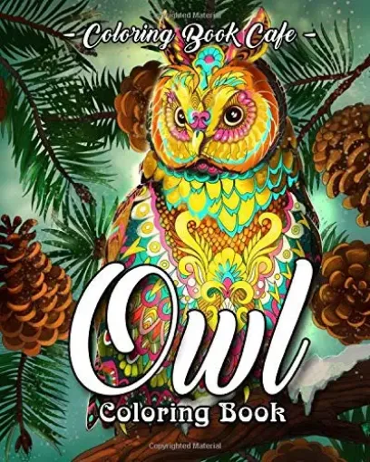 libro para pintar adultos anti estress 24 paginas 25x25cms owls 0